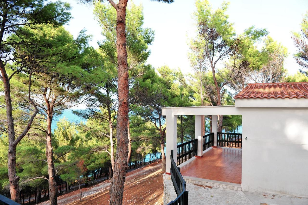 Gattarella Family Resort - Self Catering Accommodations In The Pinewood Βιέστε Εξωτερικό φωτογραφία